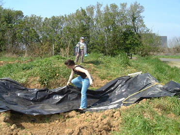 Le bassin en construction